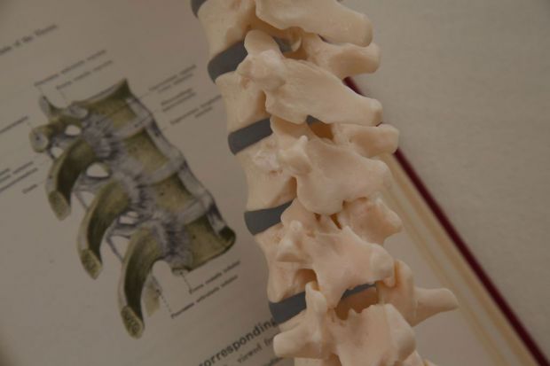 Spine and Book