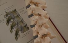 Spine and Book